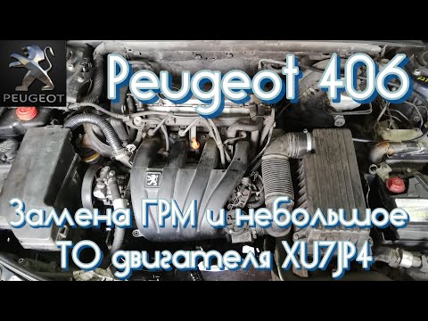 Видео: Peugeot 406. Замена ГРМ и небольшое ТО двигателя XU7JP4. #ЗаменаГРМ #Peugeot #XU7JP4