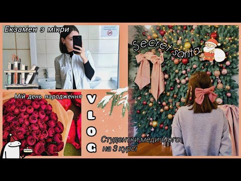 Видео: VLOG 👩🏻‍⚕️ Покупки для дому, секретний Санта та зимова сесія в медичному 🎁
