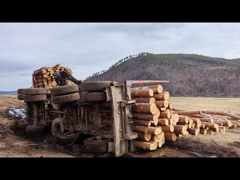 Видео: Volvo лесовоз. Положил прицеп
