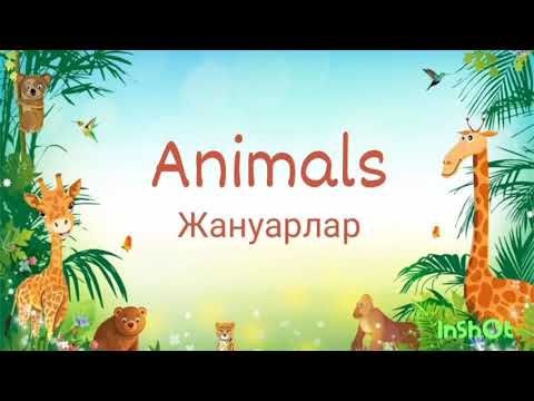Видео: Жануарлар. Animals. Жан жануарлар. Үй жануарлары. Животные. English. Английский. Ағылшынша жануарлар