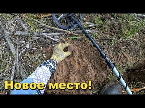 Видео: Места решают. Новое место в старом лесу