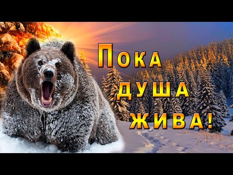 Видео: /Шатун/ Таёжная история выживания/