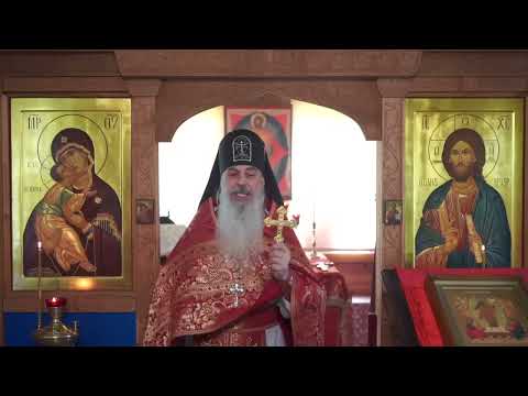 Видео: Что уготовал нам Господь? Схиигумен Гавриил (Виноградов-Лакербая). Кавказский #скитВалаама.