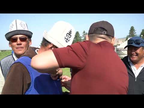 Видео: Аликтер ынтымагы 2025 1 болум Талды Суу айылы