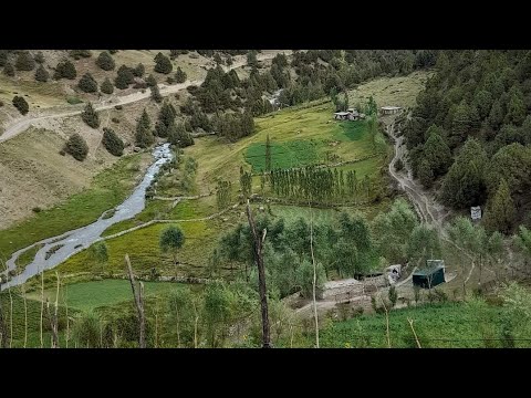 Видео: ВАТАН БАР КУХСОРОНАТ БИМИРАМ-ДАРАИ УРЕЧ ИЮЛИ СОЛИ 2022.