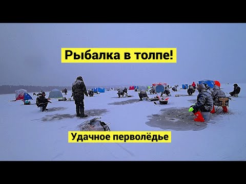 Видео: Корюшка на перволёдье!