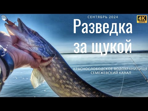 Видео: Поиск щуки на Семежевском канале и Краснослободском водохранилище