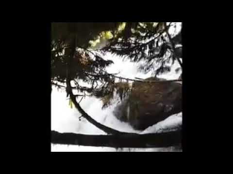 Видео: Солтан Байкулов «Таулу Къарачай, таулу Малкъар»