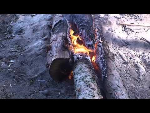 Видео: Карелия 2008 Онежское озеро Природа  Lake Onega Nature  自然の中、ロシア、北(Jp)