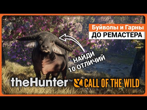 Видео: Азиатский Буйвол и Гарны до переработки в theHunter Call of the Wild