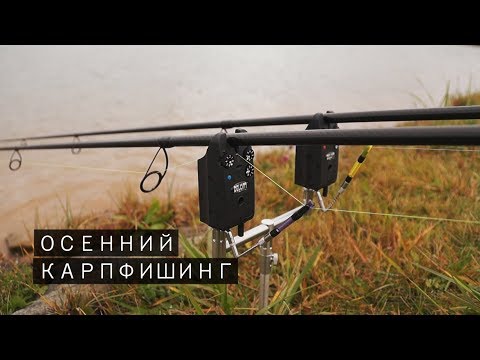Видео: Ловля карпа осенью. Удалось поймать трофейного карпа. Закрытие сезона.