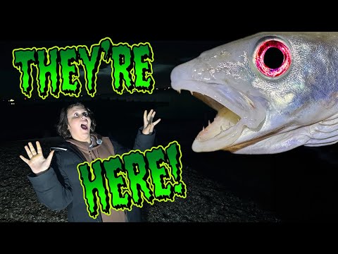 Видео: Они всё прибывали и прибывали! (Непрерывная рыбалка)