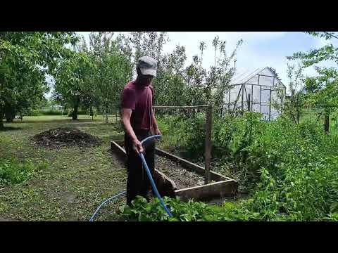 Видео: Наводим порядок в доме и во дворе. Уже видны результаты нашего труда. Видео от родителей.