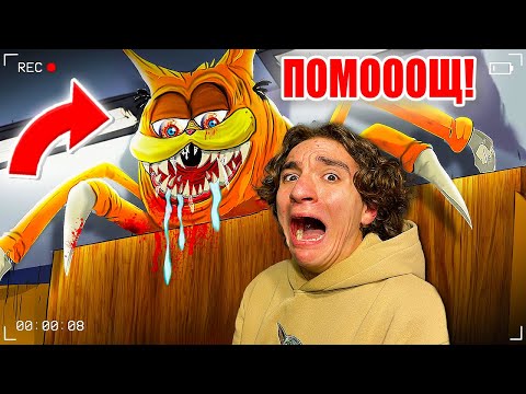 Видео: КУПИХ СИ КОТКА ОТ ГРЕШНИЯ ЗООМАГАЗИН!