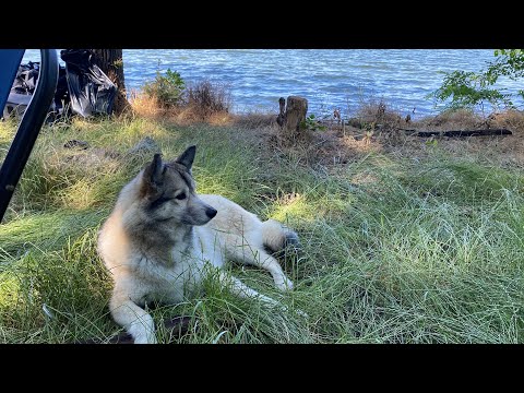 Видео: Рыбалка на Карачуновском водохранилище