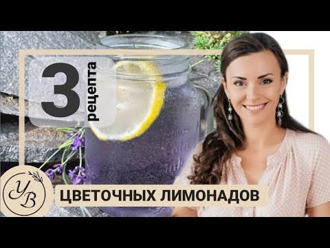 Видео: Цветочные лимонады. Как сделать самые вкусные и полезные цветочные лимонады дома. Рецепт лимонада.