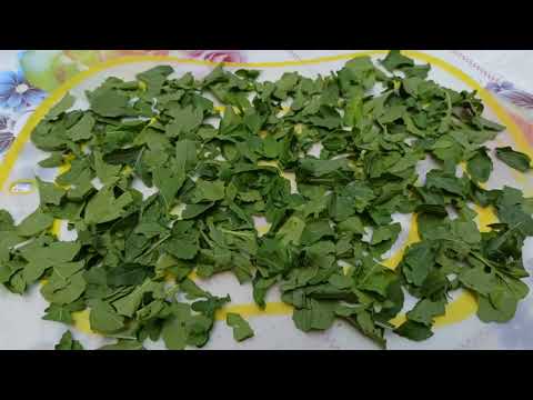 Видео: Заготовка рукколы на зиму Сохраняем витамины Harvesting arugula for the winter#food#заготовкиназиму