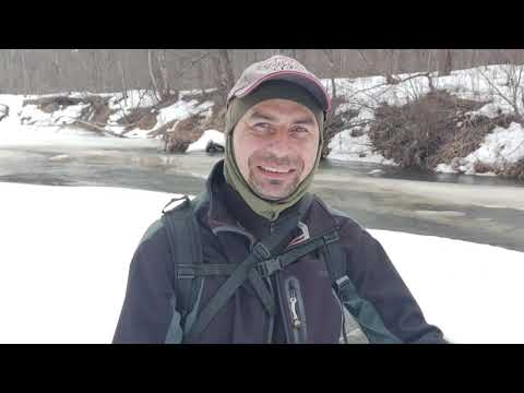 Видео: Верховья реки Илеть   уровень воды на 30 марта