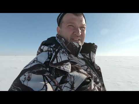 Видео: ОЗЕРО ЖАРЛЫКОЛЬ , ЗАКИДУШКИ СРАБАТЫВАЮТ ОДНА ЗА ОДНОЙ