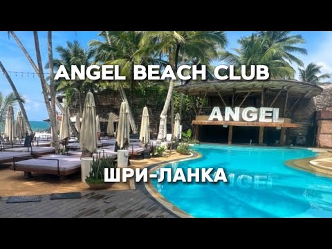 Видео: ШРИ-ЛАНКА 2025 | Лучшее место для отдыха , обзор клуба и пляжа Angel Beach Club в Унаватуне , цены