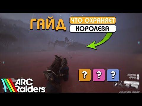 Видео: ГАЙД НА ЛУТ КОТОРЫЙ ОХРАНЯЕТ КОРОЛЕВА - ЧТО ВНУТРИ СБОРЩИКА?!