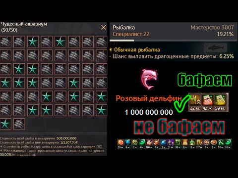 Видео: Black Desert ВСЕ О РЫБАЛКЕ ДЛЯ НОВИЧКА \ 3000 мастерства \ 1-2ккк за ночь