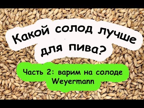 Видео: Солод Weyermann против Курского | Варим на Ваермане!