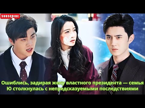 Видео: Ошиблись, задирая жену властного президента — семья Ю столкнулась с непредсказуемыми последствиями