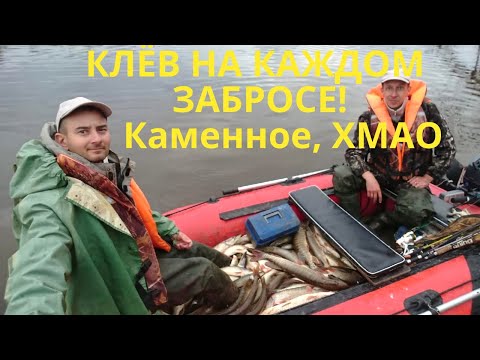 Видео: РЫБАЛКА МЕЧТЫ! КЛЁВ НА КАЖДОМ ЗАБРОСЕ! Нашли ЩУЧЬЕ Логово! ЩЕДРАЯ ПРОТОКА на Оби в ХМАО! Каменное!