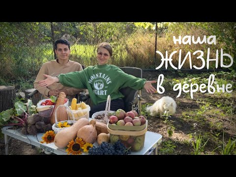Видео: УЕХАЛИ ИЗ ГОРОДА В СЕЛО #46. Размеренная жизнь в деревне: наши хлопоты и заботы!