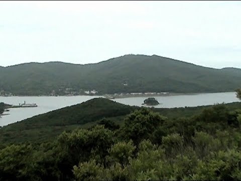 Видео: Владивосток. МОРСКАЯ ЭКСКУРСИЯ: Русский остров, бухта Новик.