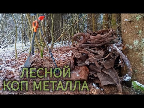 Видео: Прогулка на свежем воздухе с прибором и лопатой. Коп металла