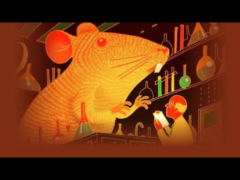 Видео: Стратегия Кали : Чего хочет женщина