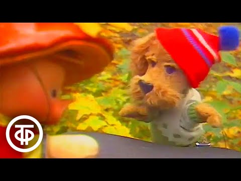 Видео: Спокойной ночи, малыши! Грибники (1990)
