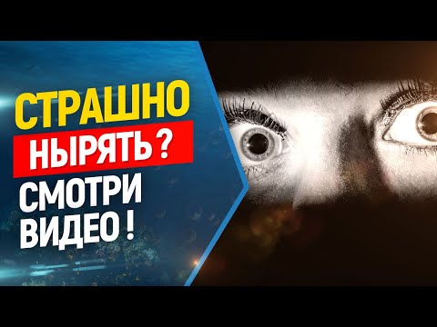 Видео: 💣Боитесь нырять ? Что делать если вам страшно заниматься фридайвингом или подводной охотой ? + бонус