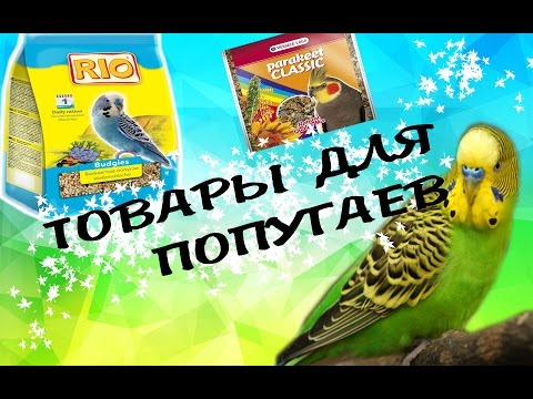 Видео: ЧТО НУЖНО ДЛЯ ПОПУГАЯ!  ТОВАРЫ ДЛЯ ПТИЦ