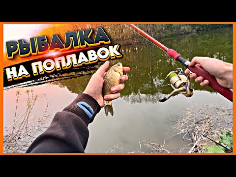 Видео: РЫБАЧИМ НА ПРУДУ/МНОГО РЫБЫ, ДЕЛАЕМ ТАРАНКУ!