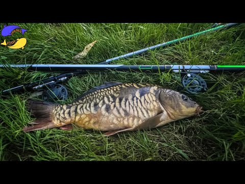 Видео: ВЕЛИКИЙ КОРОП на ПОПЛАВОК у ВЕРЕСНІ !