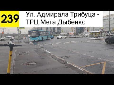 Видео: Автобус 239. Ул. Адмирала Трибуца - ТРЦ МЕГА Дыбенко