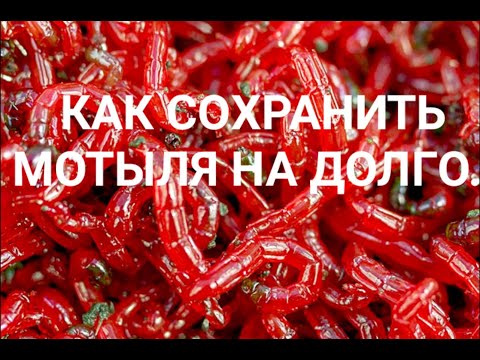 Видео: пробивка сортировка и хранение мотыля.