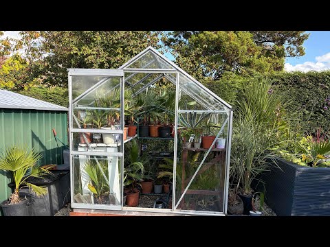 Видео: Подготовка теплицы к зиме