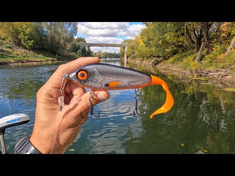 Видео: СЕКРЕТЫ ПРОВОДКИ крупных приманок!!! МНОГО КРУПНОЙ ЩУКИ! (как поймать)