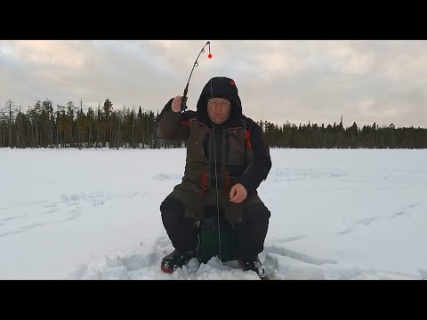 Видео: На проверенное место за щукой. Рыбалка в Карелии.