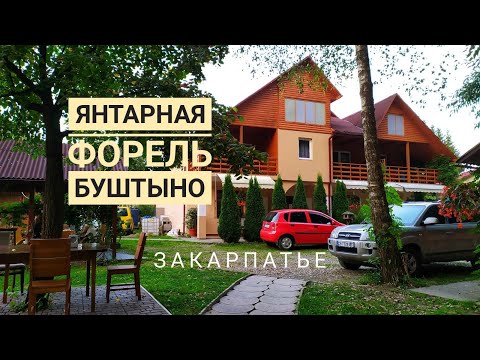 Видео: Янтарная форель в Закарпатье! Где поесть вкусную форель и осетра, как ее разводят! Буштыно.