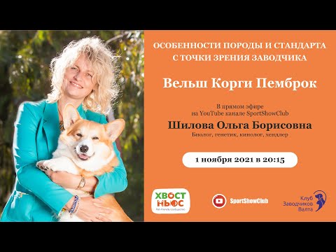 Видео: ВЕЛЬШ КОРГИ ПЕМБРОК / Спикер - Шилова Ольга Борисовна