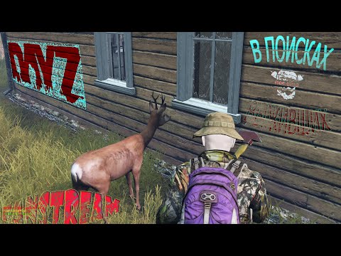 Видео: 🎥 Day Z /Часик в радость /Veles #dayz #stream_dayz #вфня #стрим_дэйз