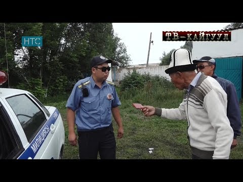 Видео: TV Kaiguul 141 / Таанышына, керек болсо Атасына ишенген Айдоочулар/ НТС