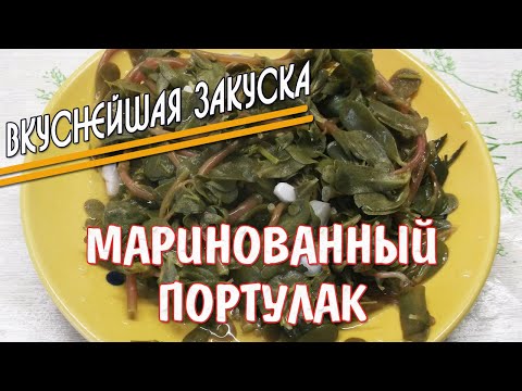 Видео: НЕВЕРОЯТНАЯ ЗАКУСКА!!! Готовим из "сорняка"! Маринованный портулак