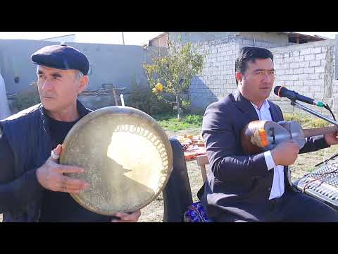 Видео: 10 ноября 2025 г.