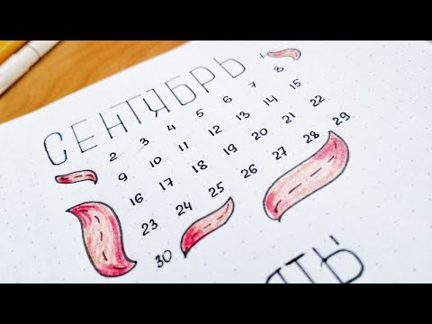 Видео: Осенние трекеры/ Ежедневник